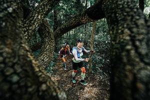 BIB: 
                            <button type="button" onclick="openModal(25392168)" class="btn btn-primary btn-sm float-right btn-popup" data-toggle="modal" data-target=".modal-high-quality">
                        <i class="fas fa-shopping-cart"></i> Add to Cart
                    </button>
                                            <button type="button" onclick="isThisMe(25392168, true)" class="btn btn-success btn-sm float-right btn-popup btn-isme hidden" data-toggle="tooltip" data-placement="bottom" title="นี่คือรูปของคุณใช่ไหม คลิกที่นี่เพื่อเอาเข้าอัลบั้ม">
                        <i class="fas fa-plus"></i> Add to album
                    </button>
                    <button type="button" onclick="isThisMe(25392168, false)" class="btn btn-warning btn-sm float-right btn-popup btn-isnotme hidden">
                        <i class="fas fa-ban"></i> Remove from album
                    </button>